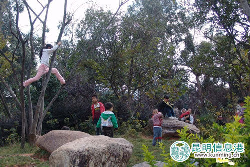 孩子們?nèi)绱嗽闾淠?網(wǎng)友供圖