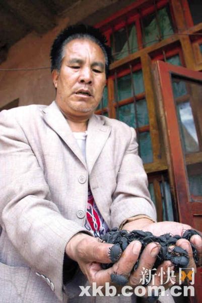 興隆村肺癌患者王建有因經(jīng)濟(jì)困難，吃活臭蟲(chóng)治療肺癌。