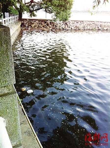 一條5米寬的污水帶，在閩江中綿延三公里