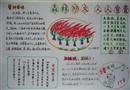 手抄報(bào)：森林防火，人人有責(zé)