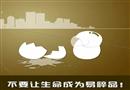 漫畫：不要讓生命成為易碎品
