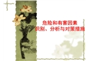 危險(xiǎn)和有害因素識別、分析與對策措施