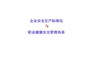 企業(yè)安全生產標準化與職業(yè)健康安全管理體系