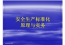 安全生產(chǎn)標(biāo)準(zhǔn)化原理與實(shí)務(wù)培訓(xùn)