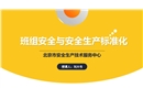班組安全與安全生產(chǎn)標(biāo)準(zhǔn)化