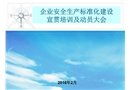 企業(yè)安全生產(chǎn)標(biāo)準(zhǔn)化建設(shè)宣貫培訓(xùn)及動員大會