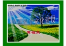 安全文化(廠長(zhǎng)主任培訓(xùn))