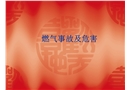 燃?xì)馐鹿始拔：? width=