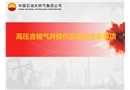 高壓含硫氣井操作及安全注意事項(xiàng)