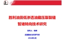 勝利油田低滲透油藏壓裂裂縫暫堵轉(zhuǎn)向技術(shù)研究