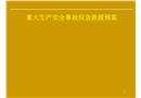 重大生產(chǎn)安全事故應(yīng)急救援預(yù)案