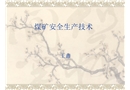 煤礦安全生產(chǎn)技術(shù)