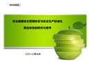 職業(yè)健康安全管理體系與安全生產(chǎn)標(biāo)準(zhǔn)化整合體系的研究與思考