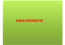危險(xiǎn)有害因素識(shí)別和安全對(duì)策