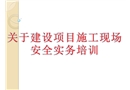 建設(shè)項目施工現(xiàn)場安全管理實務(wù)培訓(xùn)