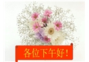 爆破專業(yè)安全培訓(xùn)教案
