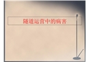 隧道運(yùn)營(yíng)中的病害及專項(xiàng)檢測(cè)