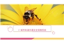 城市軌道交通安全保障系統(tǒng)