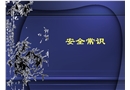 綜合安全常識(shí)與自護(hù)自救