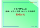 石油天然氣工業(yè)健康、安全與環(huán)境（HSE）管理體系基礎(chǔ)知識