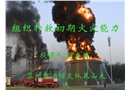 撲救初期火災(zāi)和災(zāi)害成因分析課件