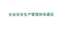 企業(yè)安全生產(chǎn)管理體系建設(shè)講義