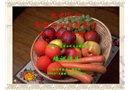 食品安全控制體系培訓(xùn)講義