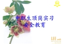 頂崗實習(xí)的安全教育