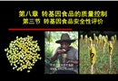 轉(zhuǎn)基因食品的安全性評價