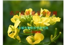 農(nóng)產(chǎn)品質(zhì)量安全檢測