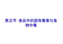 食品安全性與質(zhì)量控制