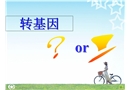 轉(zhuǎn)基因食品安全