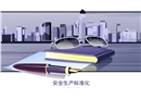 安全生產(chǎn)標(biāo)準(zhǔn)化二級(jí)培訓(xùn)