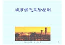 城市燃?xì)忭椖抗芾淼腍SE理念和風(fēng)險識別與控制