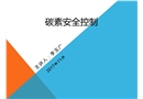 碳素風(fēng)險控制