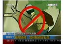 如何躲避泥石流