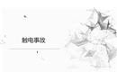 觸電事故案例分析培訓(xùn)