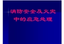 消防安全及火災(zāi)中的應(yīng)急處理培訓(xùn)