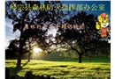 森林火災(zāi)撲救安全知識培訓(xùn)講座