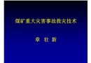 煤礦重大災(zāi)害事故救災(zāi)技術(shù)