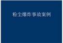 粉塵爆炸事故案例分析