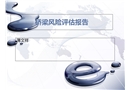 橋梁風(fēng)險(xiǎn)評(píng)估報(bào)告
