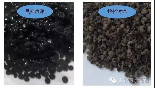 微信圖片_20200120091618.jpg