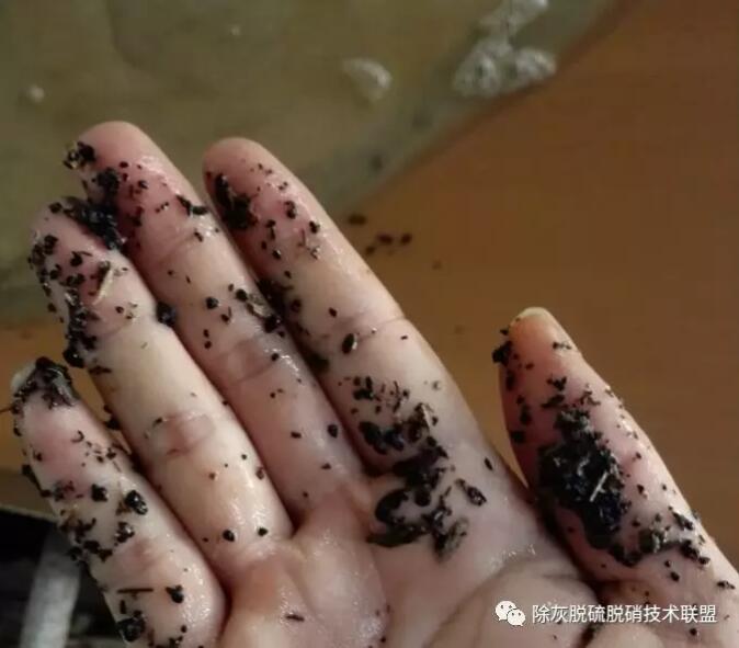QQ截圖20190624095611.jpg