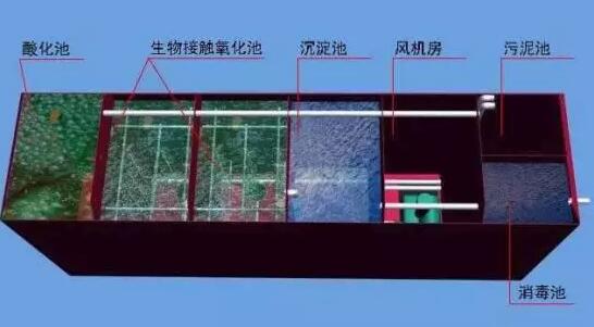 QQ截圖20190401091228.jpg