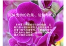 固體廢物的收集、運輸與貯存