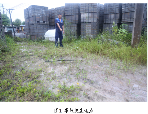 四川森朗通信網(wǎng)絡工程建設有限公司柳州分公司“6·14”觸電一般事故調查報告