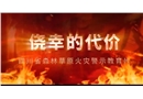 僥幸的代價——四川省森林草原火災(zāi)警示教育片