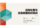 應(yīng)急處置與應(yīng)急救援知識(shí)培訓(xùn)