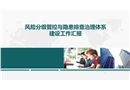 雙體系建設(shè)工作匯報(bào)
